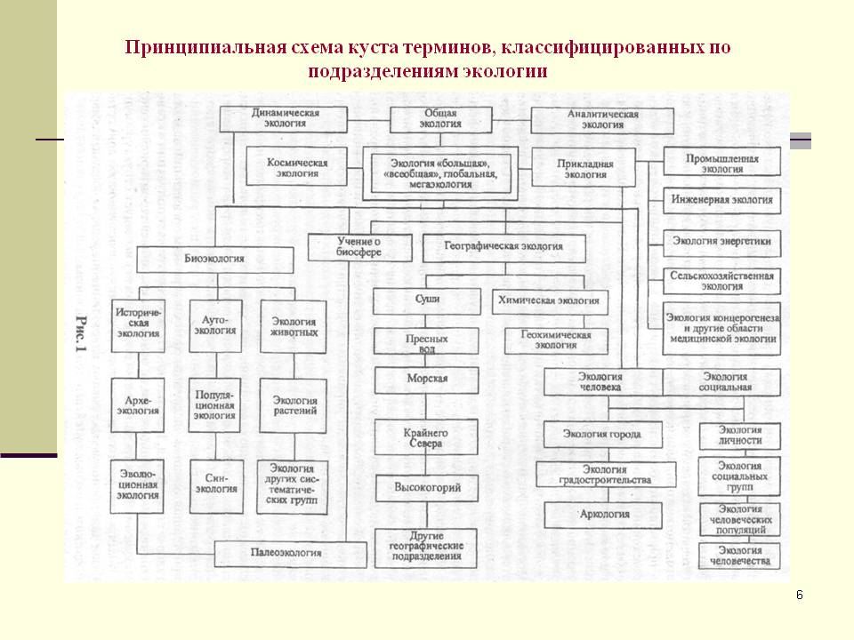 Систематизирующую схему понятий и основных терминов